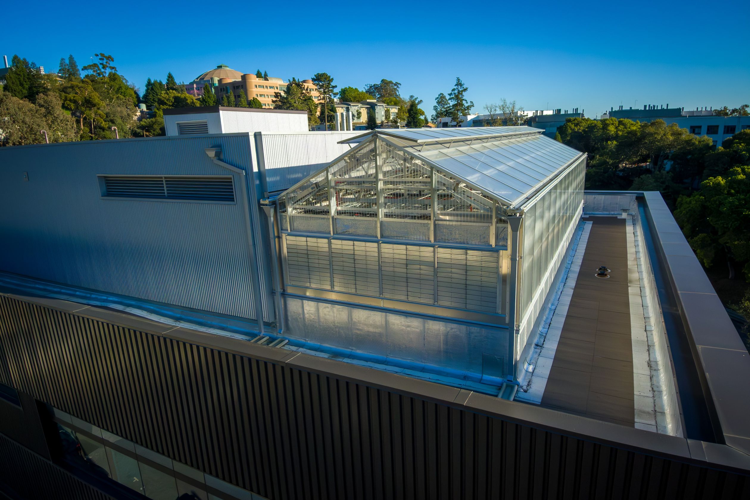 greenhouse